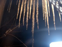 /album/galerie-photos/hpim6794-jpg/